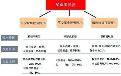 专业投资 实业管理中的价值创造之道